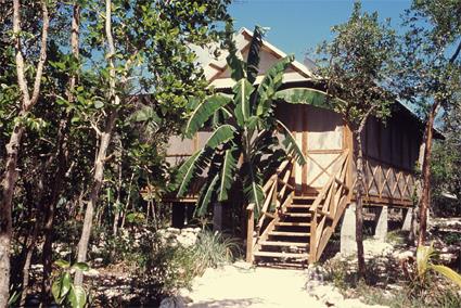 Hotel Ti Amo 3 *** / Andros / Bahamas