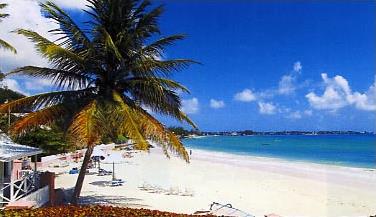 Htel Sea Breeze 3 *** / Cte Sud / La Barbade