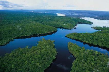 Amazonie - Croisire Amazon Clipper / Brsil 