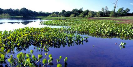 Circuit Extension Pantanal - Hotel Pousada Do Rio Mutum 3 *** / Brsil 