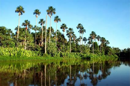 Mini Circuit Hotel Lodge Rio Mutum 3 *** / Pantanal / Brsil 