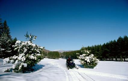 Dcouvertes Motoneige / La piste des Amrindiens / Canada