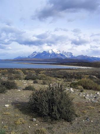Autotour Chili - Extension Patagonie