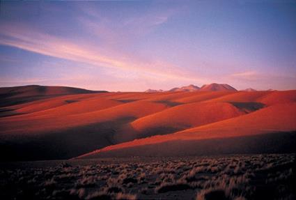 Autotour Chili  - Le dsert d'Atacama