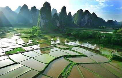 Les Circuits  Guilin et Yangshuo / Les Cormorans de Yangshuo / Chine 