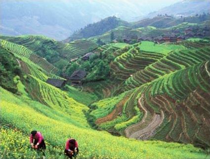 Les Circuits  Guilin et Yangshuo / Sous les ponts du vent / Chine 