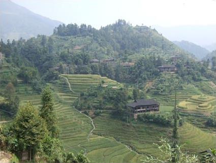 Les Excursions  Guilin / Terrasses du dragon / Chine 