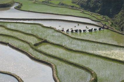 Les Circuits  Yunnan / Eaux-miroirs du sud / Chine