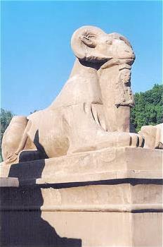 Circuit en Egypte / Croisire Hathor