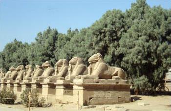 Circuit en Egypte / Croisire Anubis