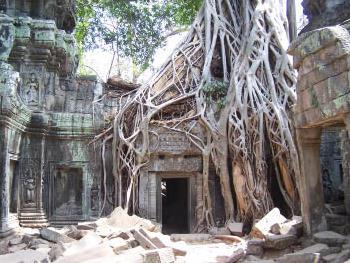 Circuit Laos - Cambodge / Dragon ternel