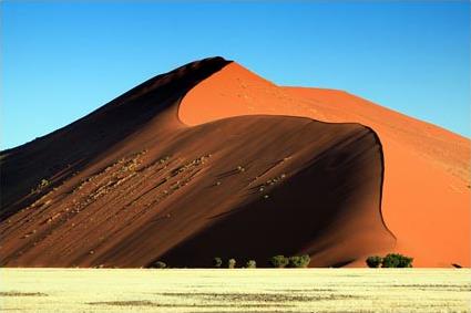 Circuit en Namibie / Entre Dsert et Safari