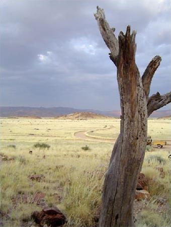 Circuit en Namibie / Entre Dsert et Safari