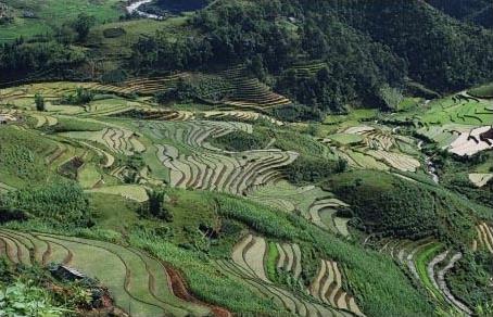 Circuit au Vietnam / Du Mkong au Tonkin