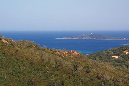 Rsidence La Lzardire 2 ** / Porto Vecchio / Corse