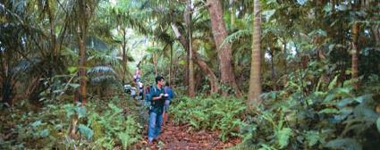 Autotours Au dpart de San Jos - Nature du Costa Rica / Costa Rica