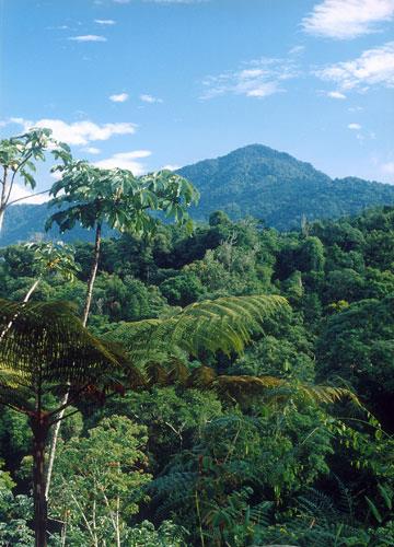 Circuit Traditionnel Costa Rica / Costa Rica