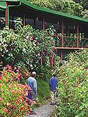 Hotel Trogon Lodge 2 ** /  Dota / Costa Rica