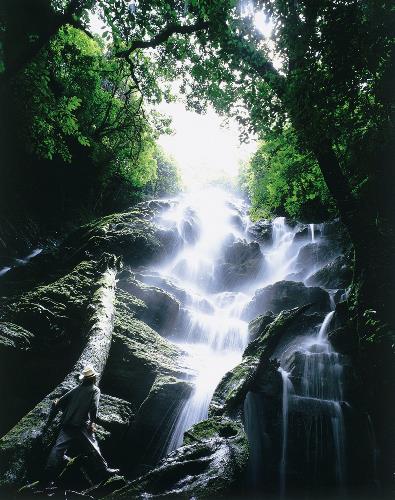 Circuit au Costa Rica / Rendez-vous avec la nature