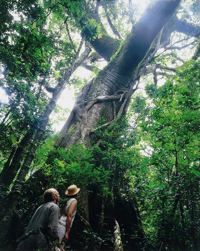 Autotours Au dpart de San Jos - Authentique Costa Rica / Costa Rica