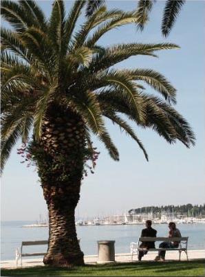 Autotour / Sous le charme de la Croatie / Croatie