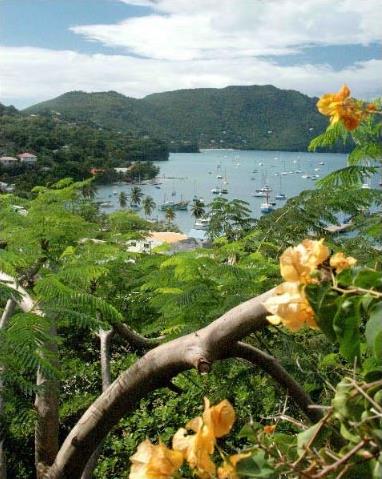 Croisire dans les Iles Grenadines en Catamaran