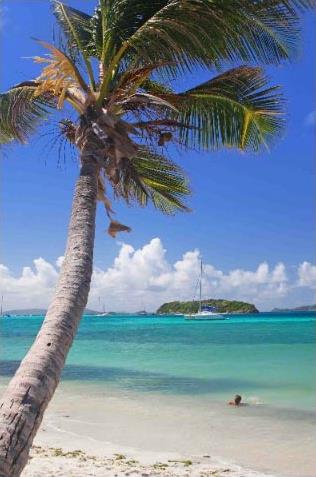 Croisire dans les Iles Grenadines en Catamaran