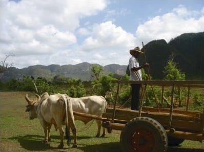 Sjours  Combiner / La Havane / Trinidad / Cuba 