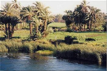 Croisire Des rives du Nil  Alexandrie / Au Dpart de Louxor / Egypte