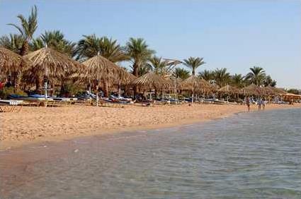 Hotel Hilton Sharm El Sheikh Fayrouz Resort 4 **** / Sharm El Sheikh / Egypte