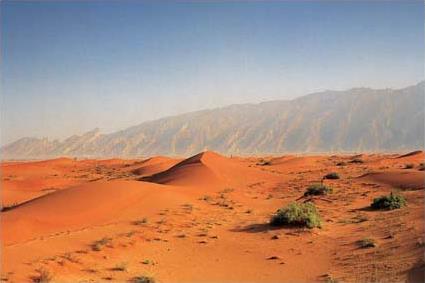 Les Excursions  Abu Dhabi / Safari dans les dunes / Emirats Arabes Unis