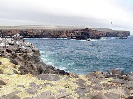 Circuit Equateur / Extension aux les Galapagos