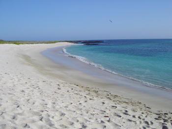 Extension Equateur - Galapagos