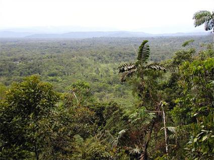 Equateur / Circuit guid / Pr Tour Otavalo Amazonie