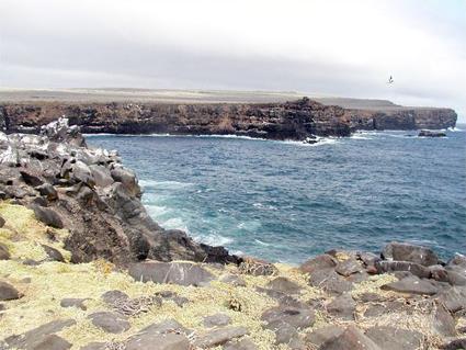 Hotel Silberstein 3 *** / le de Santa Cruz / Galapagos