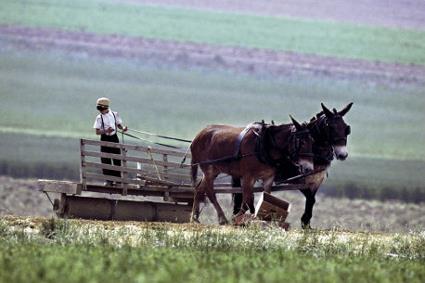 Autotour Amish Country / 8 jours / Etats Unis 