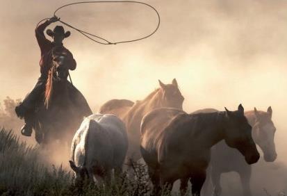 Autotour Texas, the  Lone Star State  / 17 jours / Etats Unis 