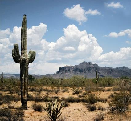 Autotour Texas, the  Lone Star State  / 17 jours / Etats Unis 