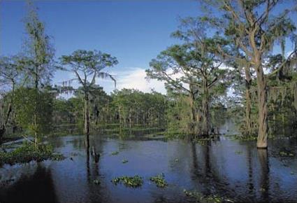 Circuit Un Air de Louisiane / 9 jours / Etats Unis