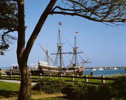 Excursion Observation des Baleines / Boston et la Nouvelle Angleterre / Massachusetts