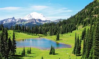 Hotel Nisqually Lodge 2 ** Sup. / Mont Rainier (Ashford) / Washington