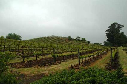Excursion Escapade  Napa Valley / San Francisco / Californie