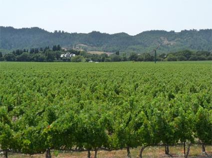 Excursion Escapade  Napa Valley / San Francisco / Californie