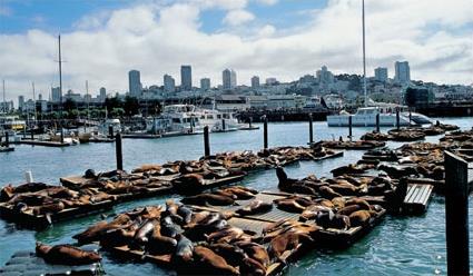 Excursion Tour de Ville / San Francisco / Californie