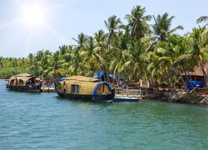 Les Backwaters du Kerala Les Excursions /  bord de l'Apsara sur les Backwaters / Inde du Sud