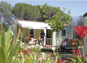 Camping Caravaning Parc Saint James Oasis 4 **** / Puget-sur-Argens / Cte d' Azur