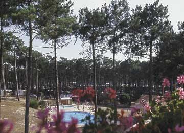 Camping Caravaning Campole Le Vivier 3 *** / Biscarosse / Landes