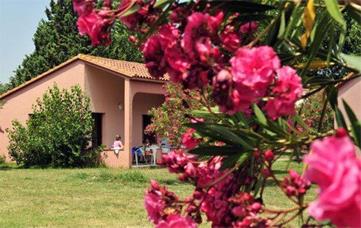 Camping Caravaning Les Abricotiers 3 *** / Argels / Languedoc - Roussillon