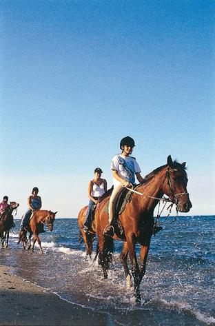 Circuit dcouverte active / Equitation dans le Rizzanese / Ajaccio / Corse