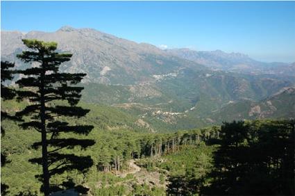 Circuit dcouverte Thmatique / La Corse au Coeur / Rgion Sud / Corse